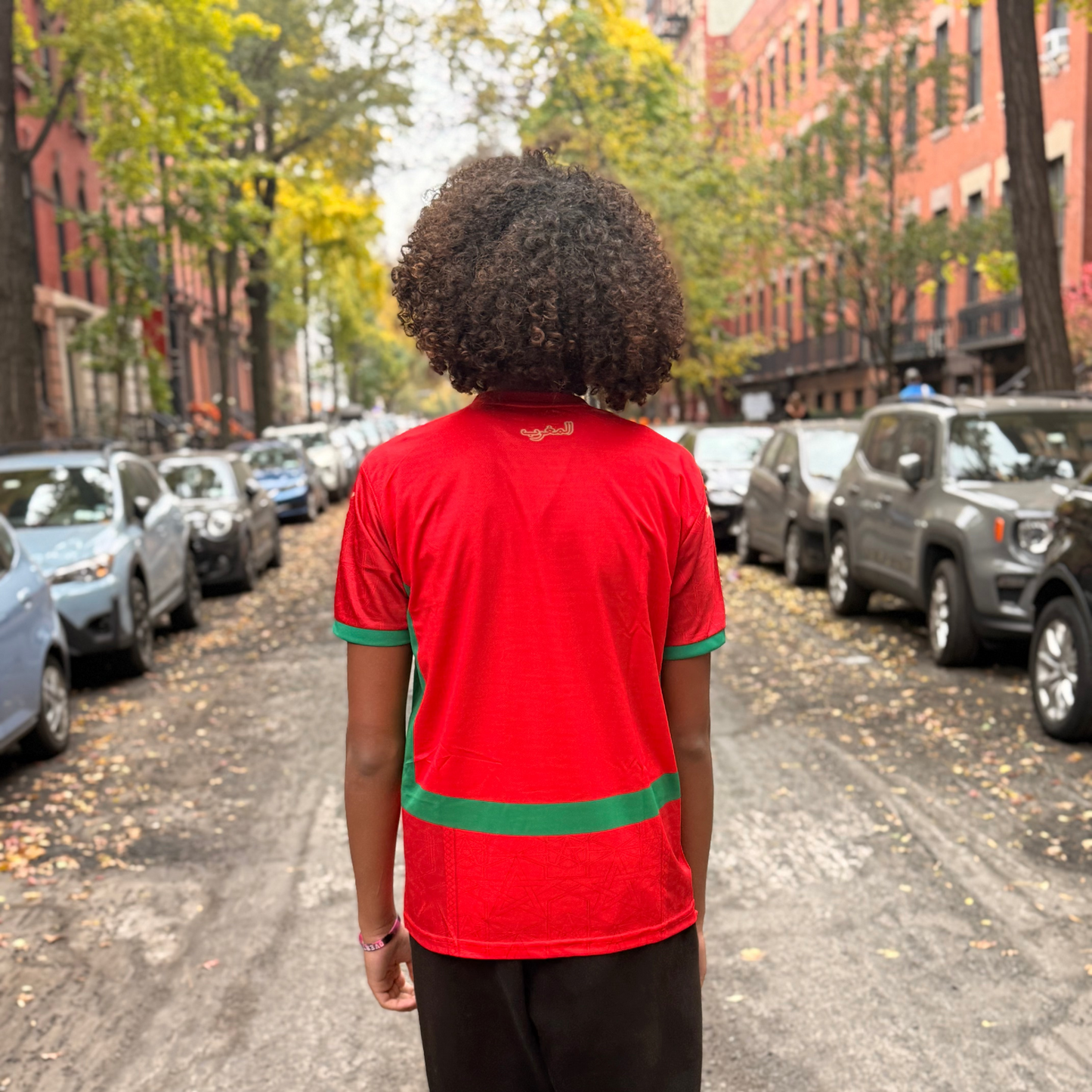 Morocco National Team Jersey – Classic Red & Green